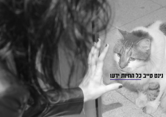 נינט-טייב-יחצ.jpg