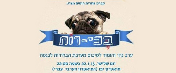 בכירות1.jpg